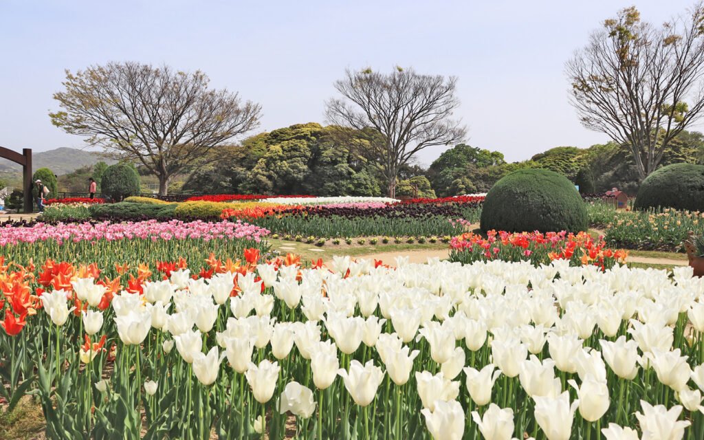🏞️ 사이다이지 녹화 공원(사이다이지료쿠카코엔) 이미지 7